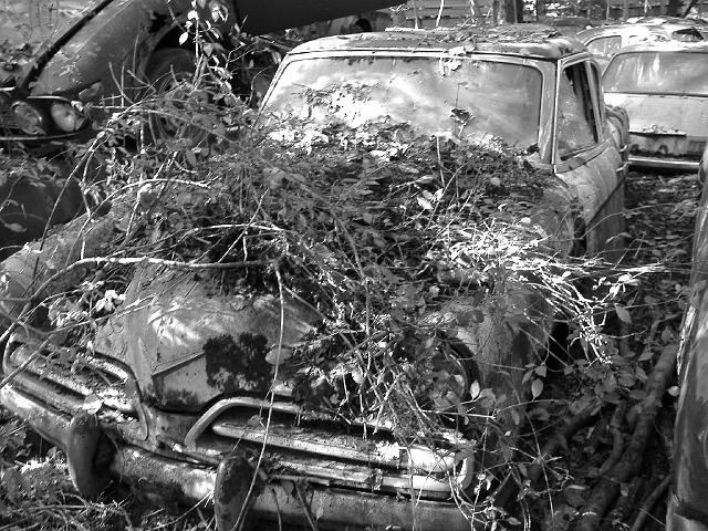 Autofriedhof - 187.JPG - Historischer Autofriedhof,    Gürbetal (CH)